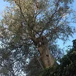 Bed and breakfast Lacrema 4*