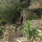 Lacrema 4*