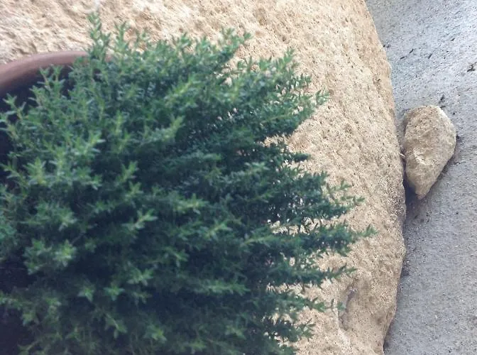 Lacrema Bed and breakfast Finale Ligure