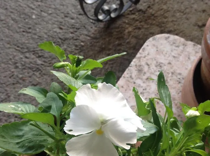 Bed and breakfast Lacrema Finale Ligure