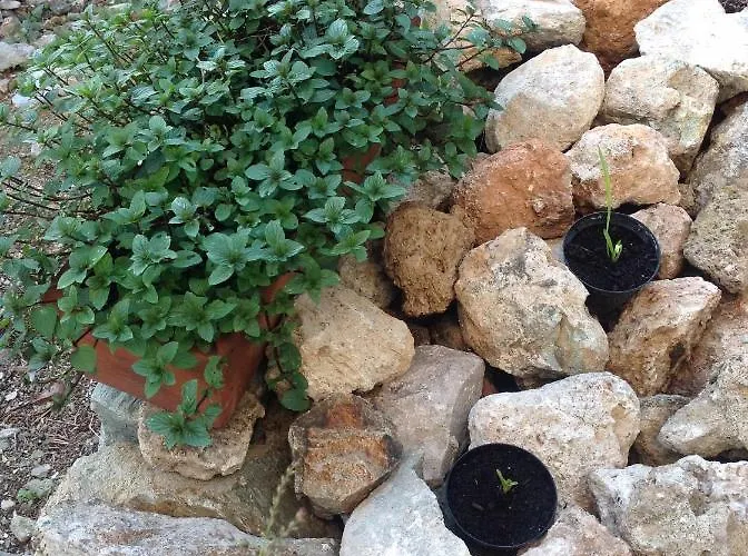 Lacrema Bed and breakfast Finale Ligure