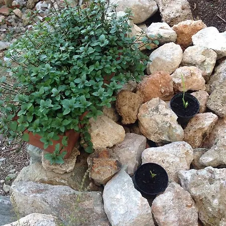 Lacrema לינה וארוחת בוקר פינאלה ליגורה