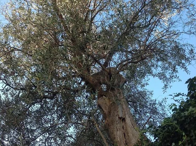 Bed & Breakfast Lacrema 4*